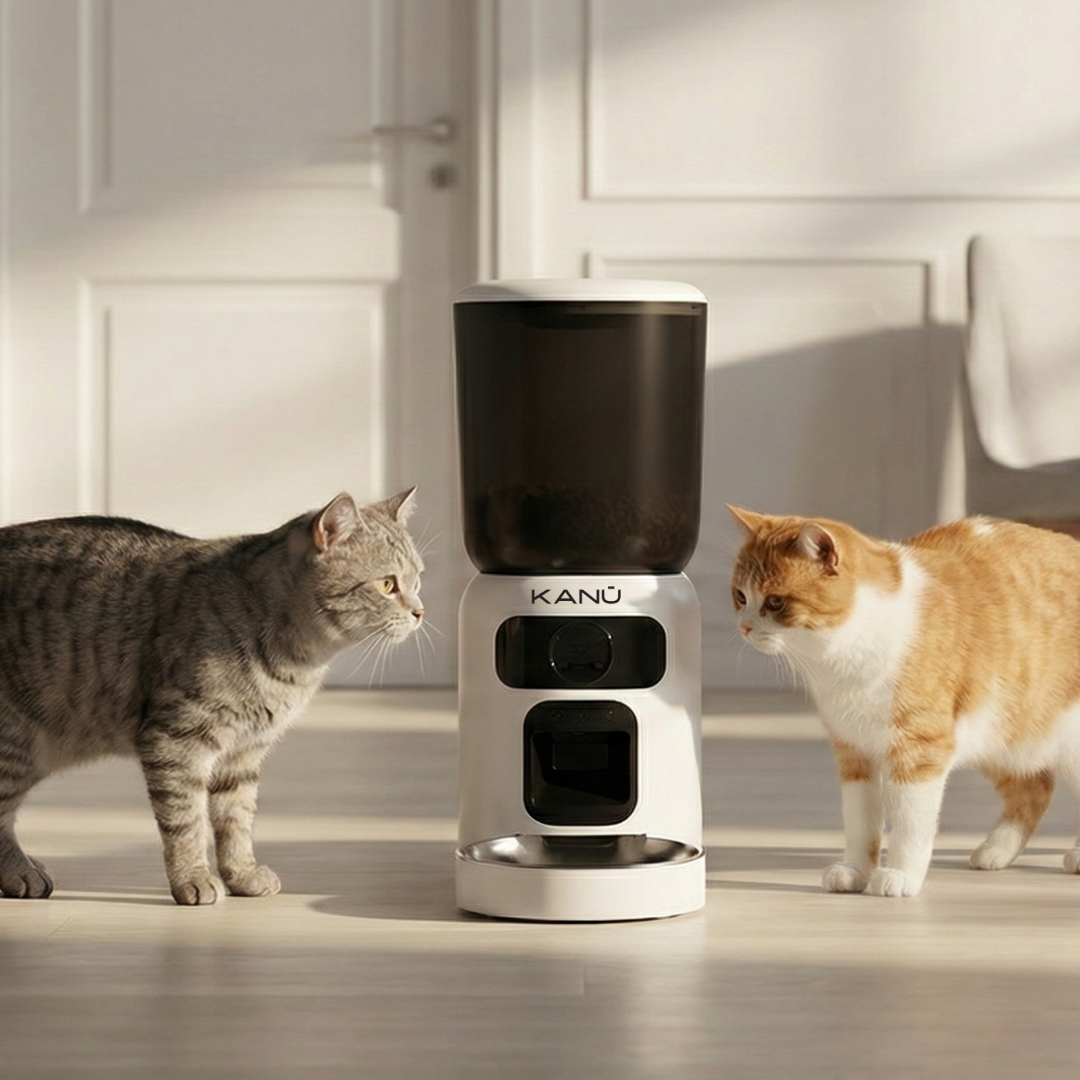 How to Feed Your Cat or Dog While You're Away (The Smart Way)