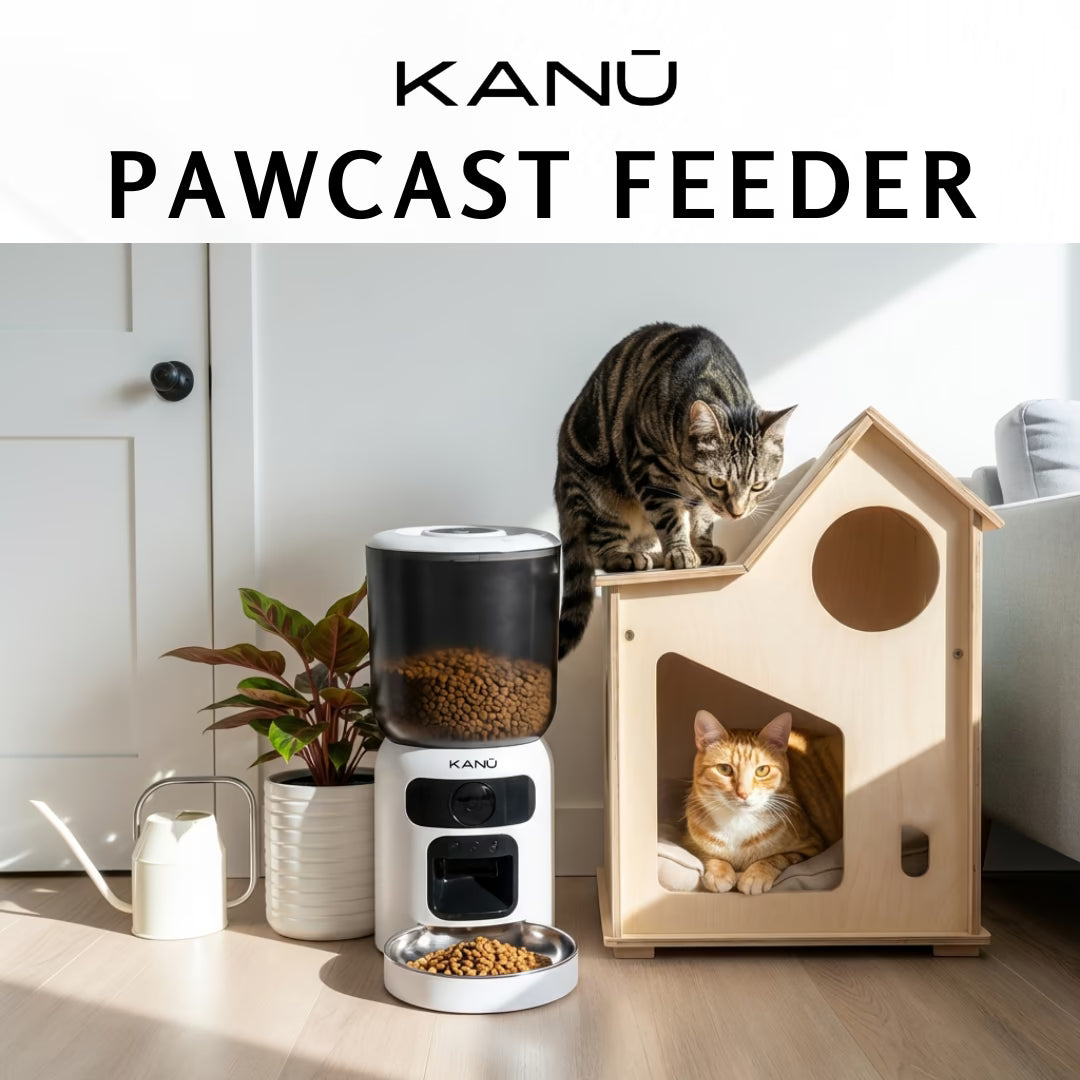 Paw Cast Feeder